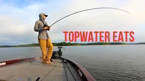 Catching Explosive Topwater Fish In Summer Bass Fishing Tournament on Buggs Island