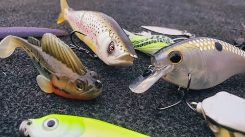 Bass Fishing: Top 10 baits of 2019