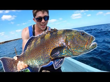 Catching MEGA Multicolored Fish on a Tropical Reef-- (SUDAN Part 7)