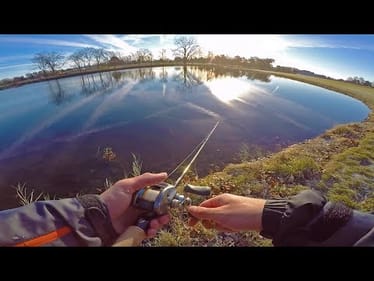 NOT What I Expected! -- Freezing Cold Pond Hopping