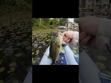 My FAVORITE Way To CATCH A BASS!!! #fishing #bassfishing #kayakfishing