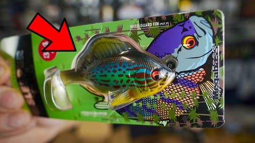 Mega Japanese Bait Unboxing + Lake Update: Megabass Sleeper Gill, Sleeper Craw and MORE BFS!