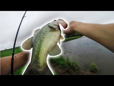 Pond Hopping For Topwater Bass! 4th One Was The Best!!