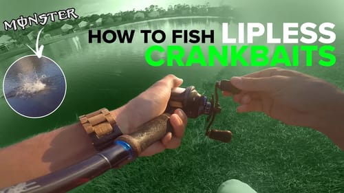 How to Fish Lipless Crankbaits - Bass Fishing (Surprising Outcome)