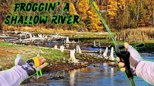 FROG Fishing on SUPER SHALLOW River!!