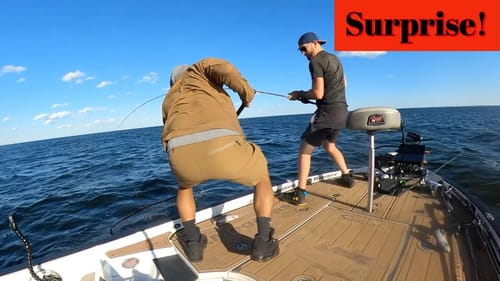 Giant Surprise while Musky Fishing with Jeremy Pratt on Mille Lacs Lake