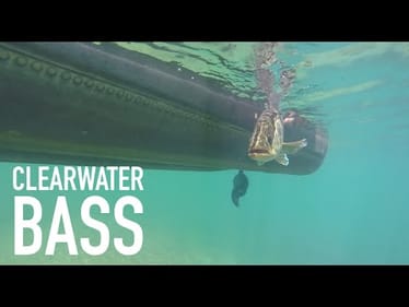 Super Clear Water Jerkbait Bass Fishing -- Spring VLOG