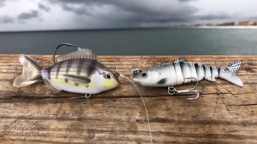 Swimbait Vs Swimbait CHALLENGE!