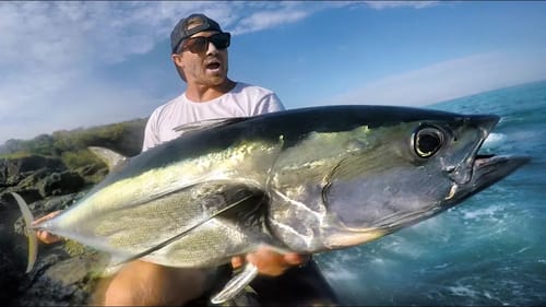 Tuna Fishing from Shore