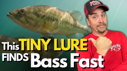 The Lure that FINDS Pressured Bass Fast and Why