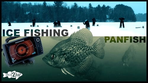 Ice Fishing Panfish - Find Crappies and Bluegills with Ease