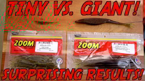 TINY VS. GIANT Fluke Bass Fishing Challenge!