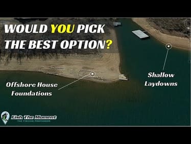 Where did we catch the most bass? Shallow or Offshore | Beaver Lake Challenge November 2020
