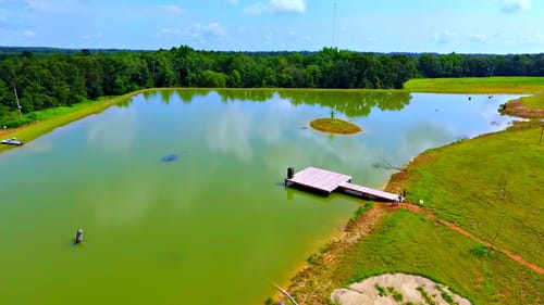 Building a 5 Acre Pond! (Adding Lily Pads and Vegetation)