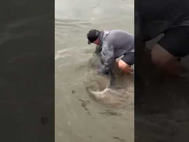 Swam off Strong: 105-Pound Blue Catfish Breaks 21-Year-Old Iowa Record, Released