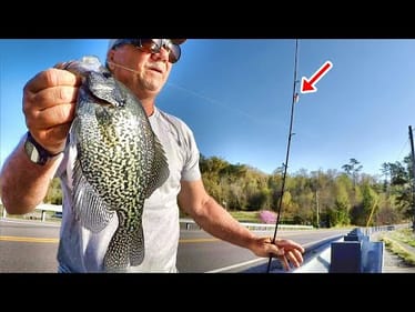 Easy Way Anybody Can Catch Crappie From The Bank