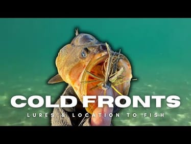 Use These Tips Successfully To Catch Bass After Cold Fronts!