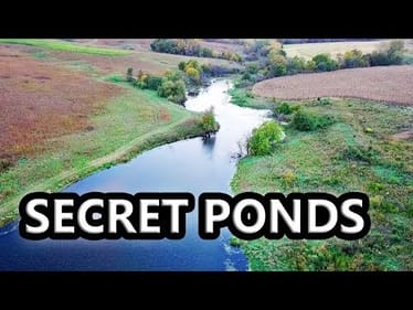 Fishing HIDDEN Ponds In MISSOURI! Multi-Species Caught!