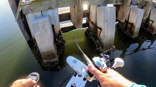 Bridge Monster Nearly Snaps My $700 Rod