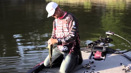 Tips for Light Line Fishing for Bass
