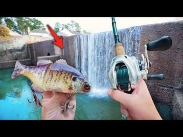 Fishing HUGE Swimbaits For GIANT Urban Bass! (Bank Fishing)