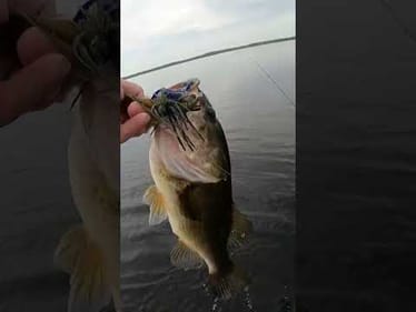 Float a Jig!