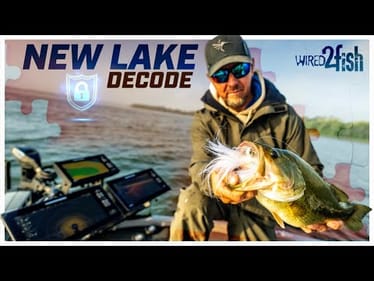 New Lake Bass Fishing With the Minnesota Mullet and Punch Rig