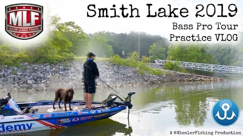 I take my dog fishing for $100,000! Major League Fishing Alabama Practice