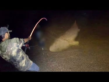 “IT” ONLY COMES OUT AT NIGHT….(300+ LBS)