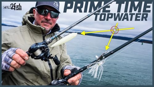 5 Topwater Tips for Late Fall Bass on Reservoirs