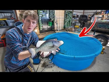 The Indoor Pool Pond Has A New GIANT Fish!