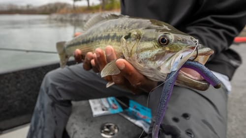 Catch Heavily Pressured BASS | Improve Casting Distance