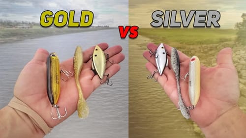 Gold vs Silver Fishing Lure Challenge (HUGE Bass!)