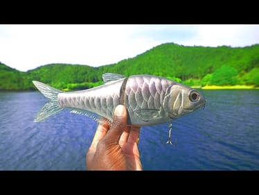 Fishing In The Mountains Of Japan For Giant Fish!