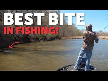 My 3 Springtime Spinnerbait Conditions to UNDERSTAND!