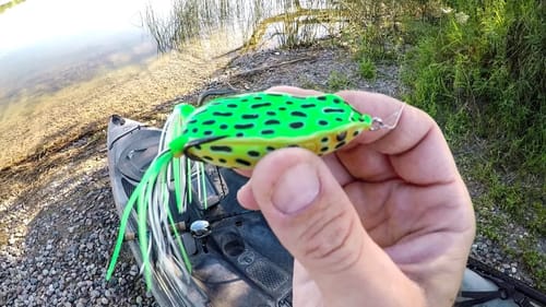 A Fine Day For Some Frog Bass!