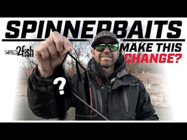 This Spinnerbait Change Can Make All the Difference