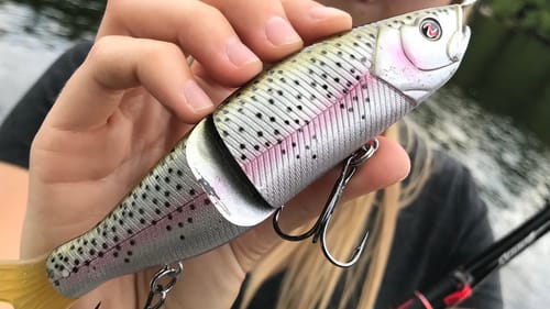 First BIG SWIMBAIT FISH! (Excited)