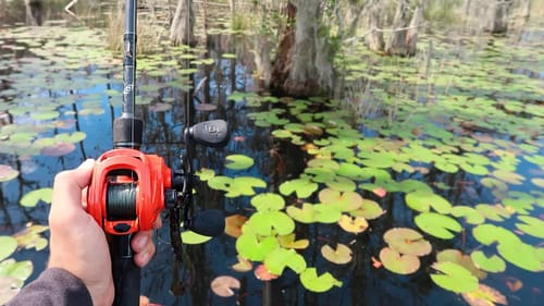 Catching MASSIVE Bass w/ Topwater FROGS (Bed Fishing)
