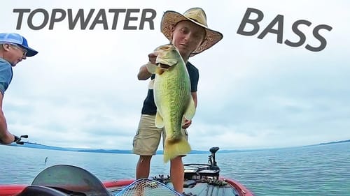 Catching MONSTER Bass On TOPWATER SPOOKS! (EXCITING)