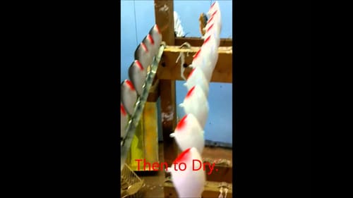 How Stanford Lures are Made (How wooden Lures are Made)