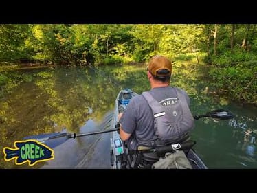 Searching for New Species in New Waters