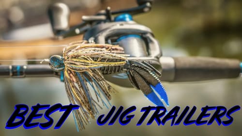 How Jigs and Trailers Actually Move - UNDERWATER FOOTAGE!!