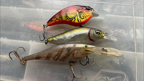 90% Of All Anglers Have Never Used This Wintertime Technique
