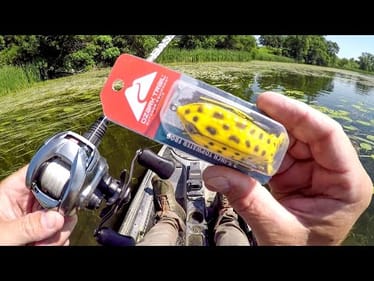 Catching Fish With A $2 Frog!