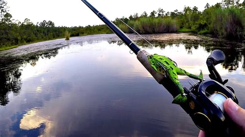 Froggin the Slop!
