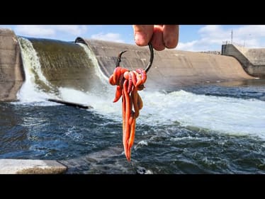 I Caught The FISH OF MY DREAMS!!! (Enormous RIVER MONSTER!!)