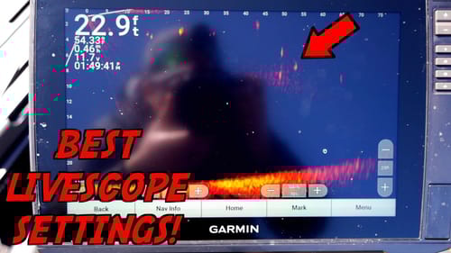 The BEST Settings for Garmin Livescope Plus! - LVS34 settings