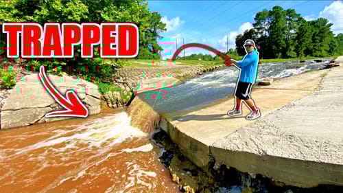 THOUSANDS OF FISH are Trapped Behind this Creek Waterfall! (New Favorite)