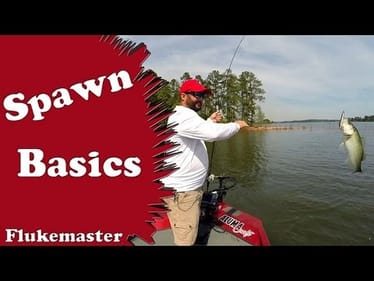 Bass Fishing Basics - The Spawn